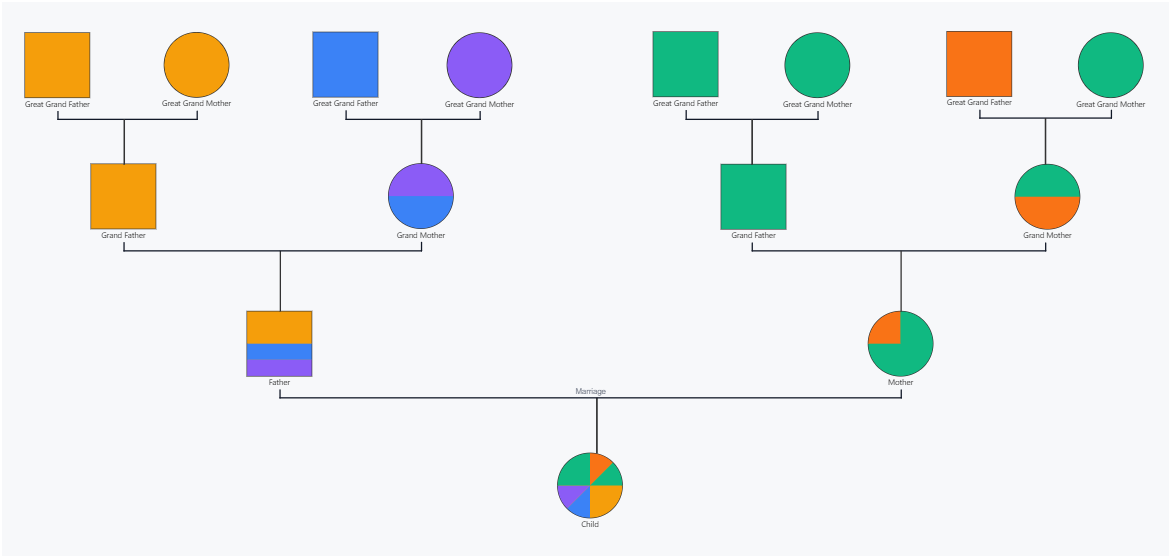 Cultural Genogram Template with multiple generations