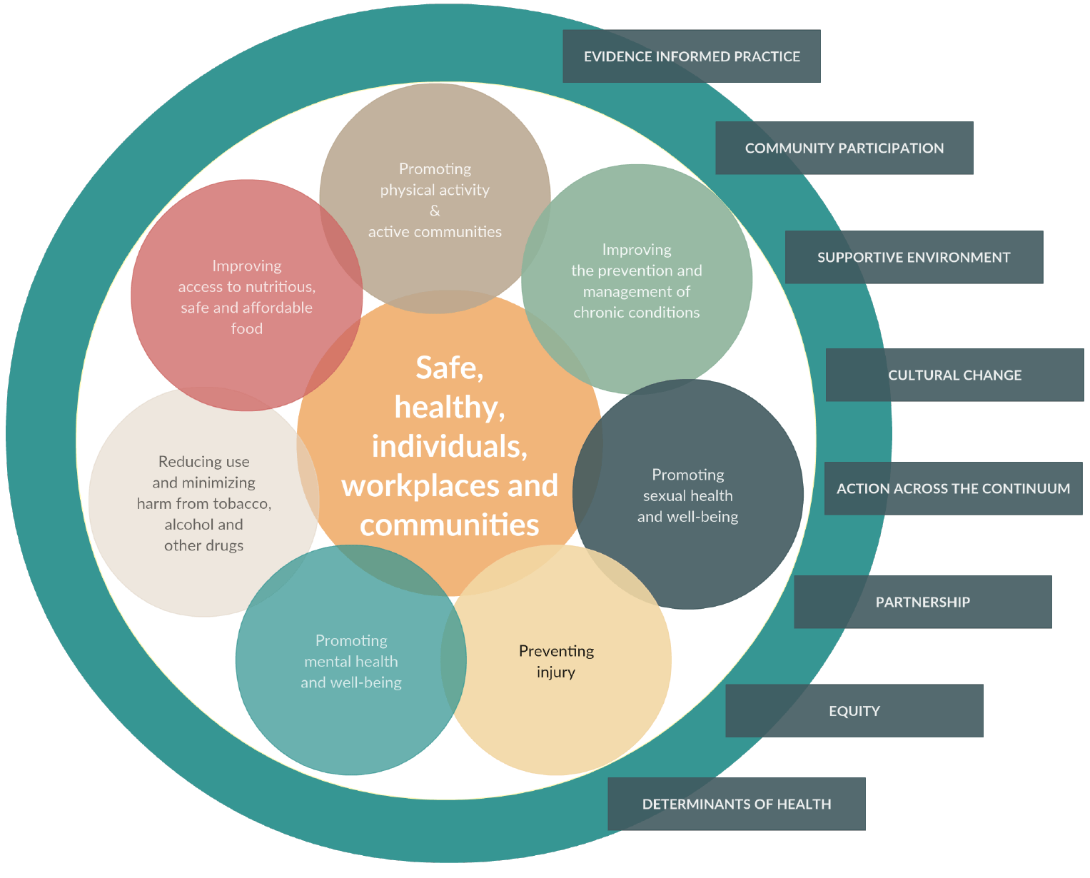 Cadre conceptuel des soins infirmiers