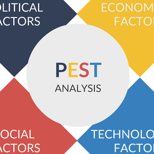 PEST-Analyse