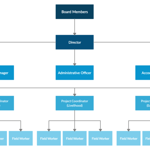 Organigramma senza scopo di lucro